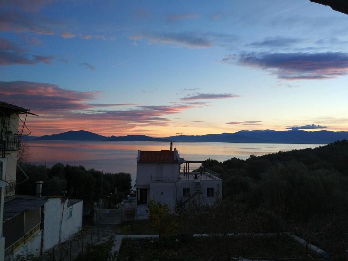 Seaside Boutique Villa 볼로스 외부 사진